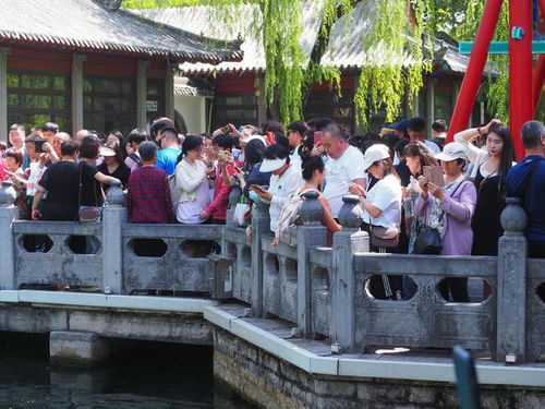 五一过后济南泉水游持续火热,景区内旅游团络绎不绝