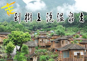 英德九州树上温泉 宝晶宫 南山公园两日游 深圳康辉旅行社