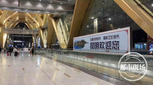 3 15 特别报道 糟心的纯玩团 导游旅游车上公然卖产品,还称 感谢不能放在嘴上