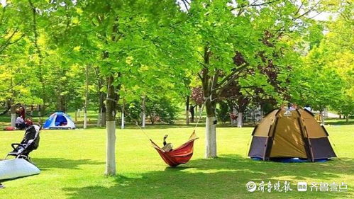 雨后赏新绿,济南植物园草青花红游客们玩得爽