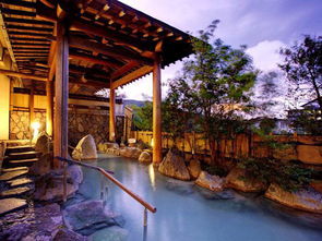 冬韵藏马山，丹溪温泉与滑雪双享二日游——济南九州游旅行社邀您体验冰雪与暖汤的完美融合